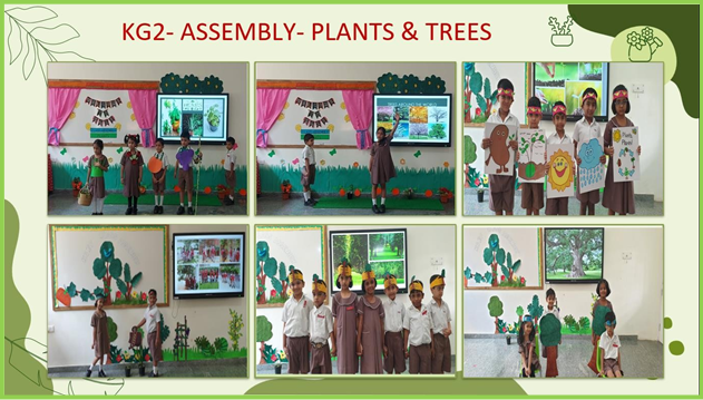 KG2-ASSEMBLY-PLANTS & TREES